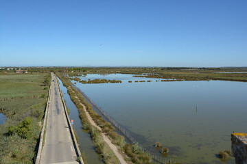 Vue des marais en Camargue - Occitanie - France