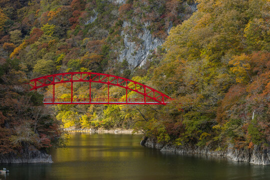日本　広島県庄原市東城町にある帝釈峡　神龍湖に流入する帝釈川にかかる桜橋と紅葉