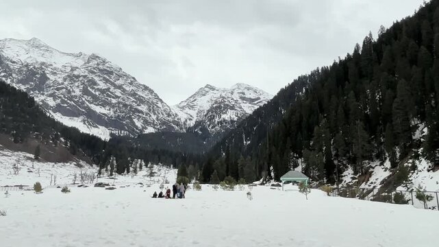 Peaceful natural landscape of Aru Valley featuring lush green meadows, pine forests, flowing rivers, and majestic Himalayan mountains near Pahalgam, Kashmir.