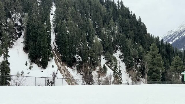 Peaceful natural landscape of Aru Valley featuring lush green meadows, pine forests, flowing rivers, and majestic Himalayan mountains near Pahalgam, Kashmir.