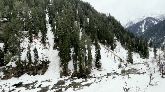 Peaceful natural landscape of Aru Valley featuring lush green meadows, pine forests, flowing rivers, and majestic Himalayan mountains near Pahalgam, Kashmir.