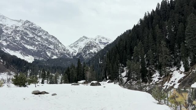 Peaceful natural landscape of Aru Valley featuring lush green meadows, pine forests, flowing rivers, and majestic Himalayan mountains near Pahalgam, Kashmir.
