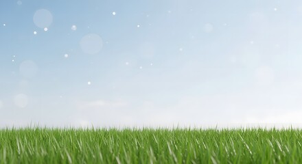 Obraz premium green grass and blue sky, A serene landscape with lush green grass and a clear blue sky dotted with fluffy clouds