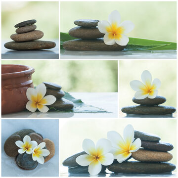 Serene spa and wellness collage with water, peble, green leaves and white tropic flowers