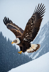 Obraz premium Large eagle with outstretched wings soaring through falling snow above icy blue mountain