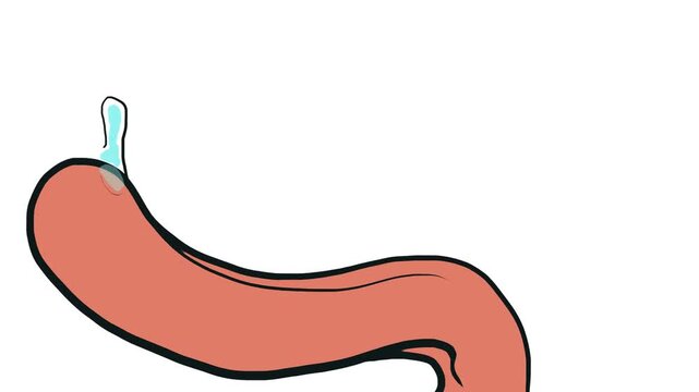 A drop of saliva separates from the long tongue of an unknown animal and flies upward.