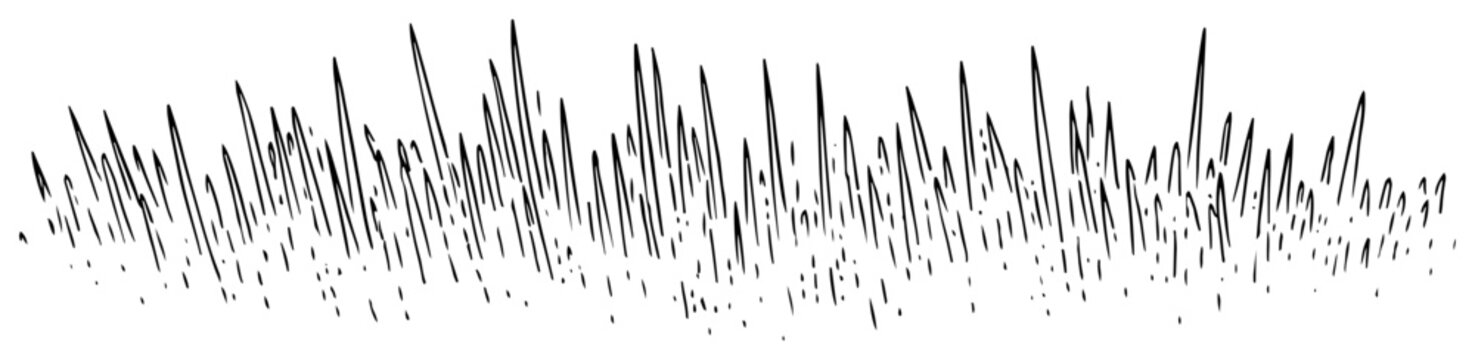 Hand drawn sketch of sharp grass blades texture