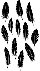 A collection of black feather silhouettes on a white background