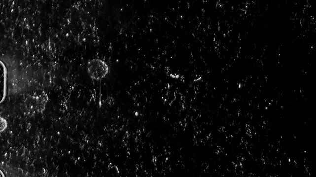 film effect with film strip 35 mm, old film noise and texture with scratches and dust, dynamic motion for transitions and overlays 
