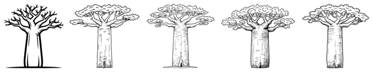 Collection of hand drawn african baobab tree sketches with thick trunks © UrbanDruid