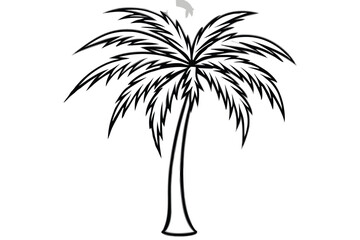Obraz premium palm tree silhouette line art vector illustration