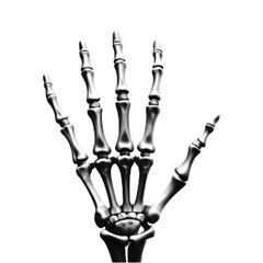 Human hand skeleton with spread fingers in black and white halftone illustration, isolated on white background, anatomy and medical concept for science, education, and design.