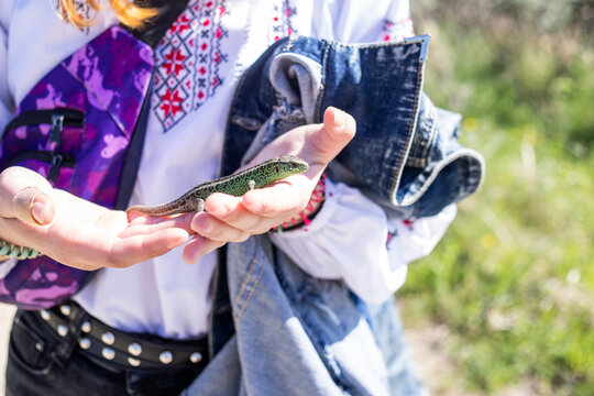 Green lizard in the hands of a teenager