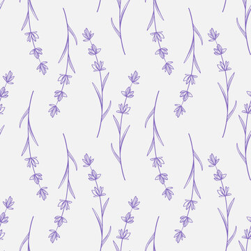 Purple Provencal wildflowers seamless pattern. Background with blooming lavender stems. Rustic print for textiles, packaging, covers and design, vector graphics