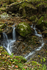 Obraz premium 日本 広島県三次市作木町にある常清滝の道中の風景