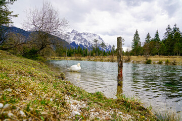Summer mountain landscape in Switzerland with green alpine meadows and majestic peaks.