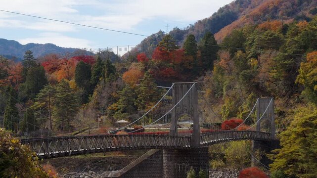 Establishing shot of Momosuke suspension bridge in autumn mtn valley