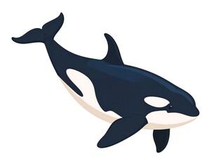 A stylized illustration of a large marine mammal with distinctive markings