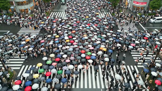 Many people cross a busy city intersection on a rainy day. Colorful umbrellas provide shelter from the rain. A vibrant urban scene.