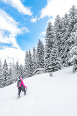 Hiker female crosses the Alpine forest after snowstorm, Bergamo Alps