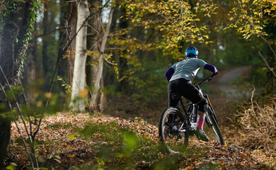 Obraz premium Autumn Forest Mountain Biker Rides Rugged Trail Wearing Helmet, Gear, And Focused On Adventure