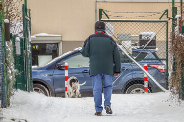 Hundebesitzer geht mit Hund spazieren