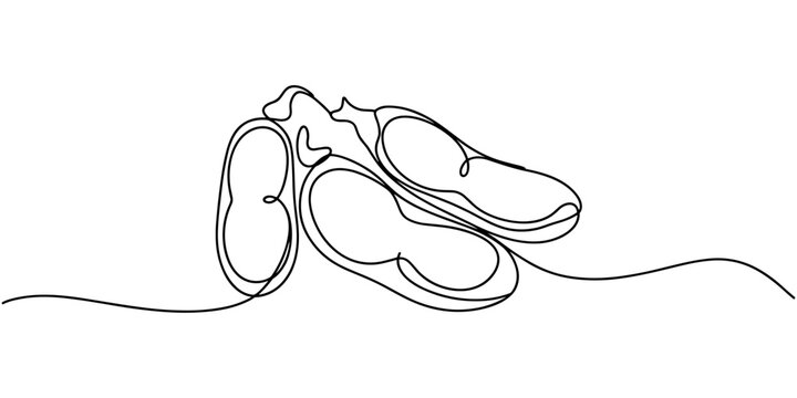 Fava beans simple color vector illustration. One continuous line art drawing with lettering organic fava beans, Vector illustration of peas isolated on white background. Black and White for coloring.