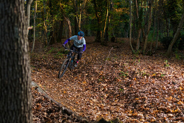 Mountain Biker Navigates Leaf-Litter Forest Trail On Rugged Autumn Ride, Sunlit Path