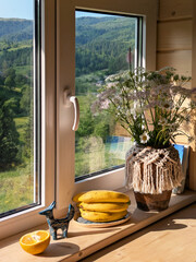 view from the window