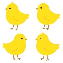Four cute yellow cartoon chicks on white background