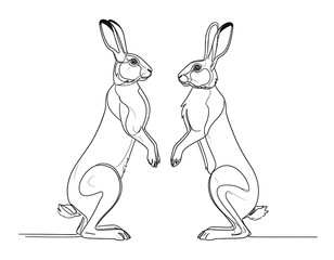 Two rabbits standing on their hind legs facing
