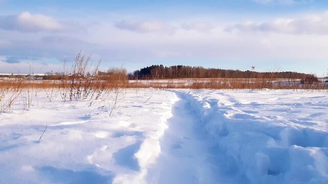 Countryside wintertime landscape with empty footpath trampled in snow among snowbanks and frozen plants in snowbound field at sunny winter day with strong stormy wind. No people rural background.