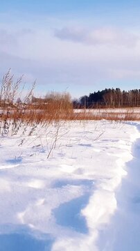 Vertical panoramic shot of rural landscape with empty trail trampled in snow among snowdrifts and frozen plants in snowbound field at sunny winter day with stormy wind. No people natural background.