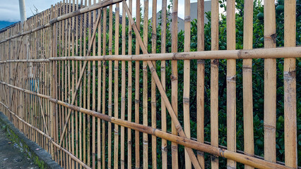 Traditional Bamboo Fence Guarding a Citrus Grove in Rural Indonesia