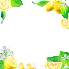Hand drawn watercolor square frame with lemons, green leaves and flowers isolated on a white background.