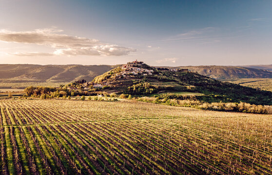 Aerial view of a hilltop village basking in the warm glow of the setting sun, surrounded by lush vineyards and rolling hills, Motovun, Istria County, Croatia.