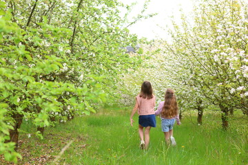 Fototapeta premium Two girls walk hand in hand down a sun-dappled path through a blooming orchard, white blossoms, lush green grass, and joyful movement capture springtime innocence and shared wonder.