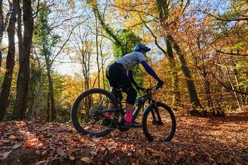 Naklejka premium Autumn Mountain Biker Navigates Colorful Forest Trail Amid Fall Leaves, Sunlit Adventure