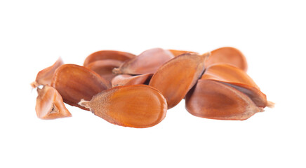 Beechnuts seeds isolated on white background. European beech nuts or Fagus sylvatica. Clipping path.