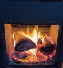 Burning firewood inside a wood stove, glowing embers and bright flames creating warmth and cozy atmosphere, symbolizing comfort, heat, winter living, and rustic indoor energy © Beverley