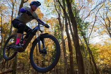 Naklejka premium Autumn Mountain Biker Jumping Over Trail Gap Through Sunlit Forest Trail