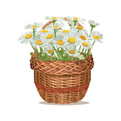 Spring wicker basket with daisies. Happy Easter, Mother's Day.