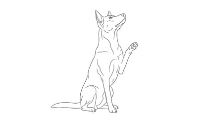 Obraz premium Minimalist line drawing of a slender dog sitting upright and lifting one front paw as if performing a trick on a white background.