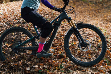 Fototapeta premium Autumn Mountain Biking Action On Leafy Trail With Front Suspension Bicycle And Vibrant Gear