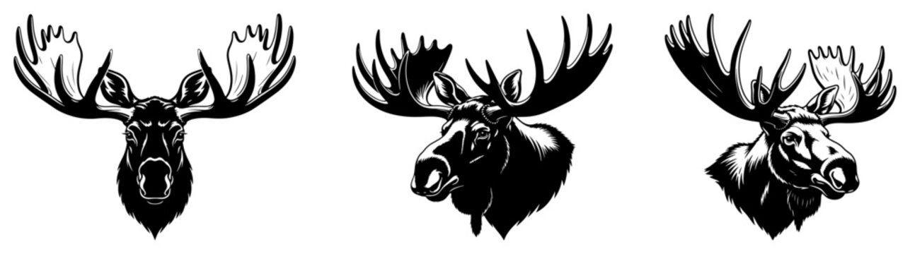Silhouette set of moose heads with large antlers in different perspectives