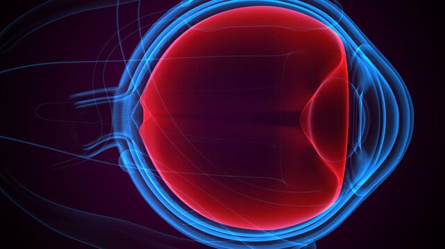 Eye parts anatomy with colorful background. 3d render