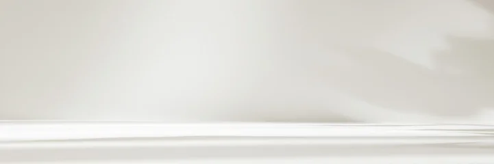 Abstract white color studio background for product presentation. Empty room with shadows of window and flowers and plant leaves . 3d grey room with copy space. Summer concept. Blurred backdrop. Banner © Lyubov