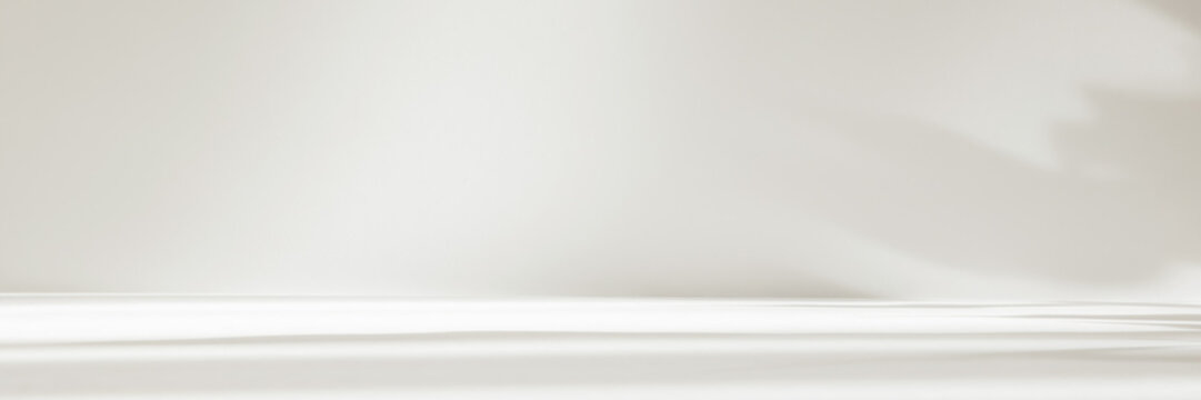 Abstract white color studio background for product presentation. Empty room with shadows of window and flowers and plant leaves . 3d grey room with copy space. Summer concept. Blurred backdrop. Banner