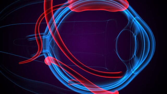 Eyelid (Palpebra) and the Anatomical View. 3d illustrations