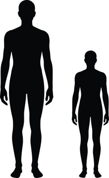 Human body silhouettes, adult child figure comparison, anatomy shapes set, flat vector illustration, isolated white background, proportion reference
